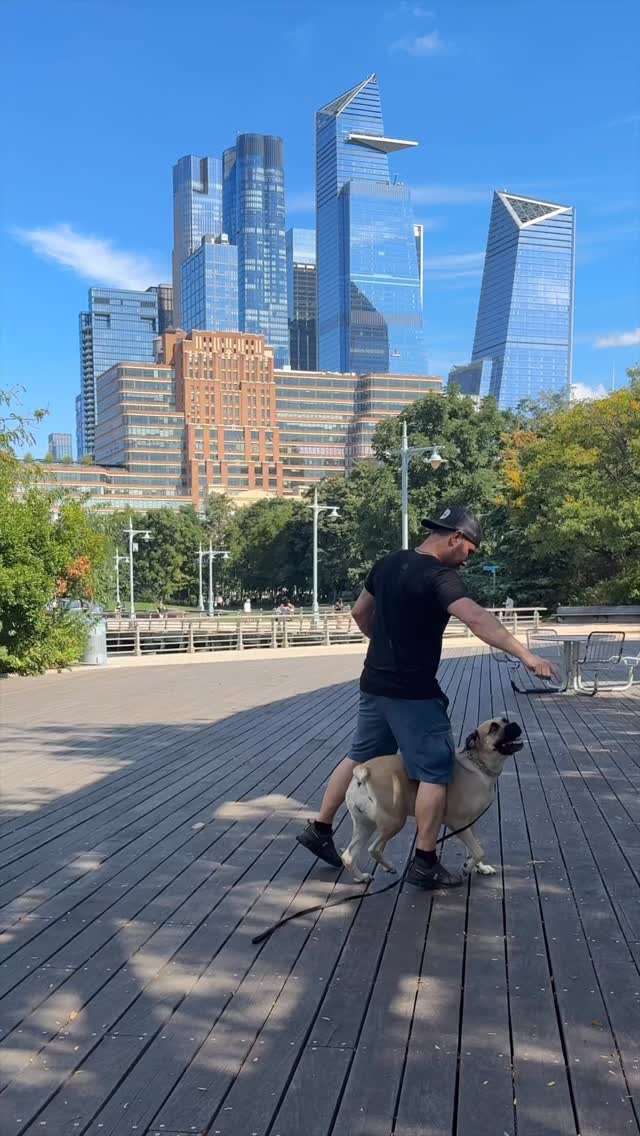 PLAYIN W/ THE GIRLIES
#dogs #doggo #dogtricks #dogmom #dogdad #dogtraining