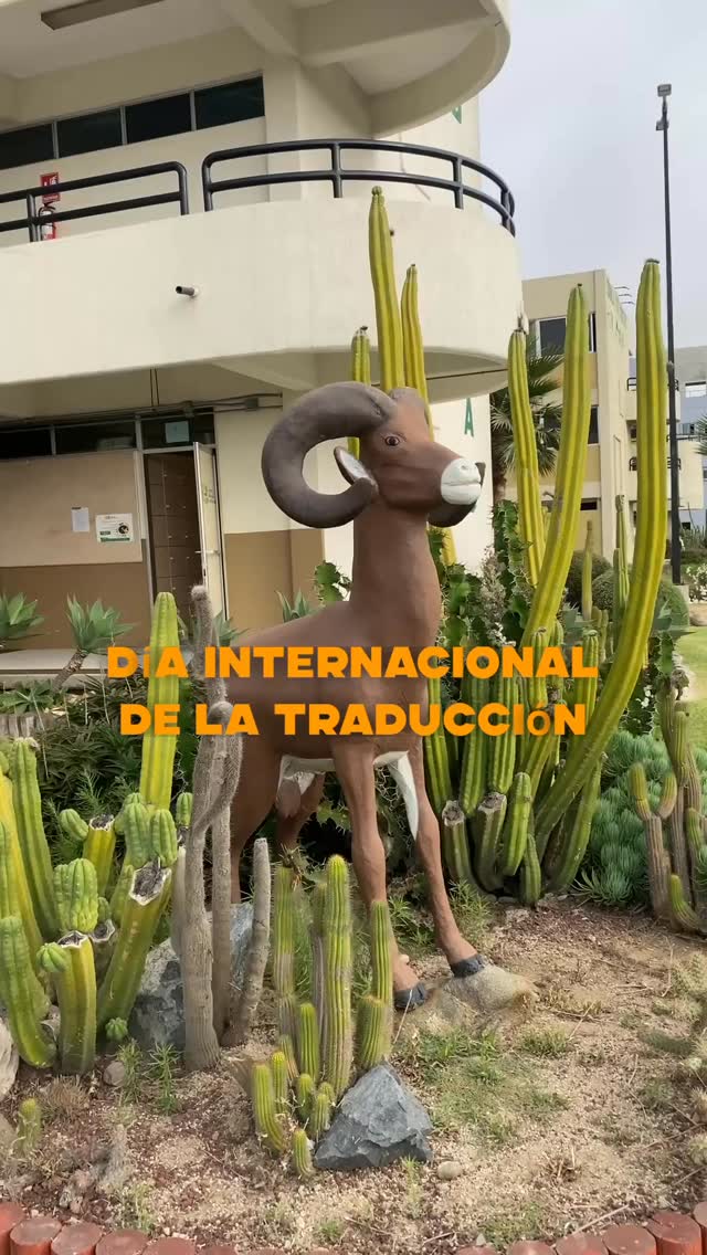 Un año más celebrando lo que amamos. Recuerden, la traducción es más que un servicio: es confianza, claridad y entendimiento. 🎉💕
¡Feliz Día Internacional de la Traducción! 📖
📩 Contáctanos para más información o cotizaciones.
🇲🇽🇺🇸🇫🇷🤟🏾
* 📧 info@pragmatraducciones.com
* 🌐 www.pragmatraducciones.com
* 📱 MEX (646) 119 5458 y USA (805) 428-0689
#ensenada #interpretingservices #interpreting #Apostille #Englistranslation #Spanishtranslation #Professionaltranslation #TranslationServices #Negociosmexico #Ensenadabajacalifornia #EnsenadaMexico #perito #translator #translating #Certifiedtranslation #Traduccionescertificadas #peritotraductor #peritointerprete #traduccionesoficiales #PragmaTraducciones #workingwithpragma #learningwithpragma