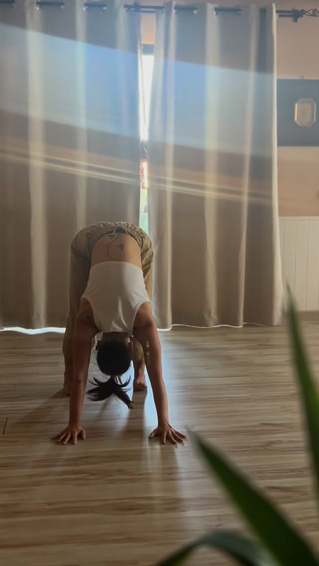 BodyBeautyBliss is my contribution to collective feminine awakening. Through my embodiment studies Ive managed to open my body for the flow of Grace ~ and YOU can as well. Let me help you to navigate yourself back home ~ to your magnificent body temple where She can be experienced as Bliss ✨
~ You can join my free What’s App container with small practices & daily reminders for 21 days of discipline to devotion to the body wisdom. We start 1/10 🪄
~ You can book 1:1 Tantric Embodiment online or in person session for reduced price of 88€
~ You can visit me in my Agni Way Sanctuary in Lagos for private 1:1 retreat, with 1h of personalized mentoring with me per day & delicious yoga & tantra practices you will share with my students in Lagos, Portugal.
Exchange is 111€ per day with accommodation 🪄
Check details at www.agniway.com or simply write to me in DM 💚
#bodybeautybliss #tantrayogini #agnichandra #tantricembodiment #tantra #shaktispeaks #visualpoetry #greentara #lagosportugal #privateretreat #embodimentcoach