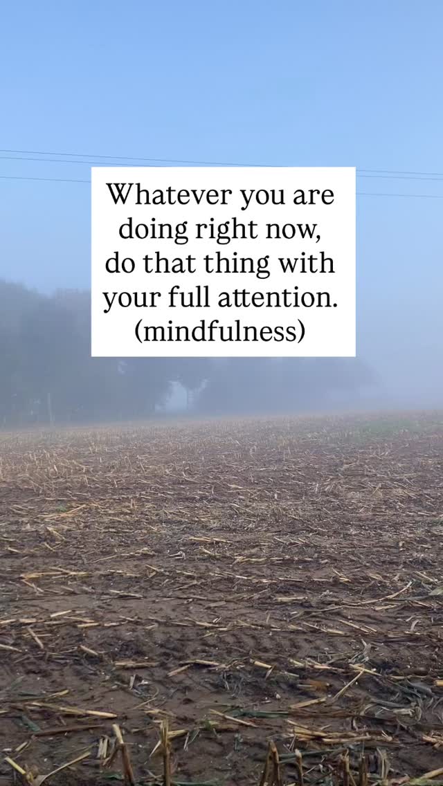How to find peace in a frantic world ? Whatever you are doing right now,
do that thing with your full attention.
(mindfulness). join my yoga classes, to practice this, yoga via movement, breathing and meditation, all all welcome.
Comment trouver la paix dans un monde frénétique ? Quoi que vous fassiez en ce moment, faites-le en y consacrant toute votre attention (pleine conscience). Rejoignez mes cours de yoga pour pratiquer cela, le yoga- le mouvement, la respiration et la méditation. Tout le monde est le bienvenu. C’est pas trop tard pour rejoindre les cours hebdomadaires ( en groupe) ou cours particuliers.
.
.
Evi Sola Yoga)
Professeur diplômée de Yoga (Adultes/ Enfants)
www.evisolayoga.com
07.74.88.72.18