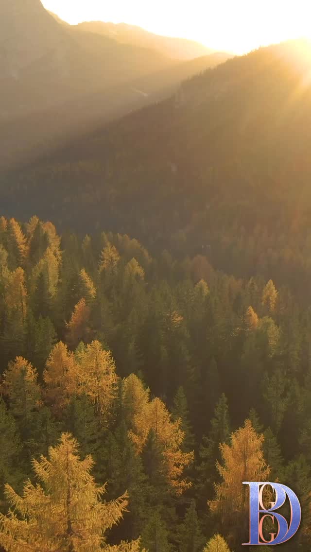 🌟 Mondays aren’t for waiting, they’re for creating. Step up, set the vibe, and own your scene.