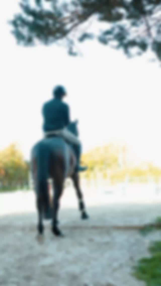 Contactez-nous au 06 20 63 00 37 📞
#cso #horsejumping #valorisationchevaux #horserider #fontainebleau #showjumper