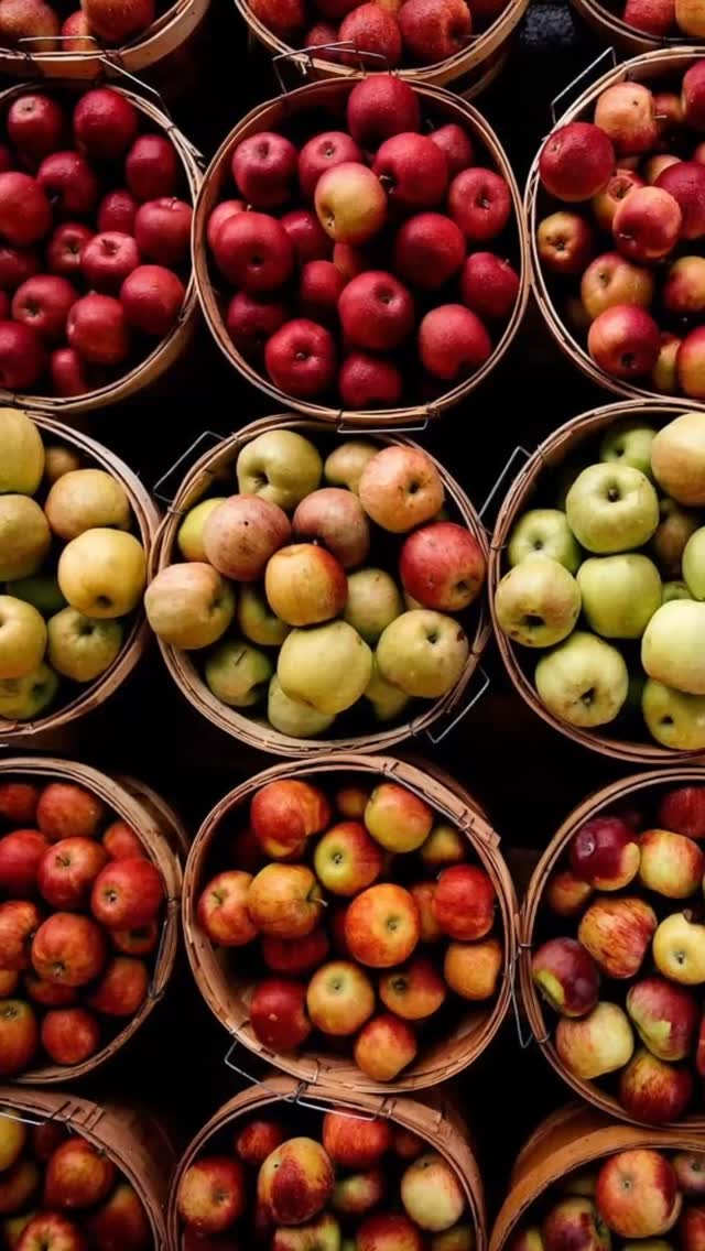 Apples in autumn on this crisp morning ๐
๐ธ Pinterest