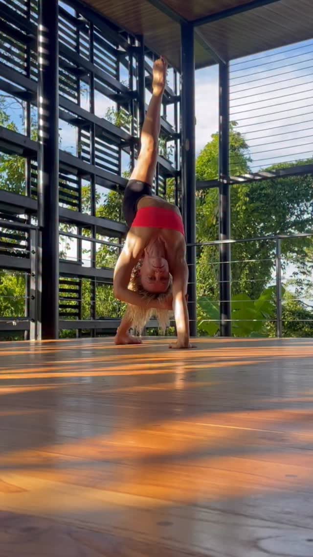Playing with transitions at one of my favourite places on the planet @selvatica_ecoretreat Selvatica Eco-Retreat, Costa Rica 💚
Can’t wait to be back there this January!
SPONSORED BY @aloyoga & @alowellnessclub
HOSTS
@giusy_volturno @rebeccahannah_
@rosariamazzon @lottasebzdayoga
@heidikayoga @meliora.flow
#wildthing #creativesequencing #flexibilityflow #flexibilitytransitions #yogatransitions #funkupyourtransitions #backbends #backbendplay #movementartist #movementart