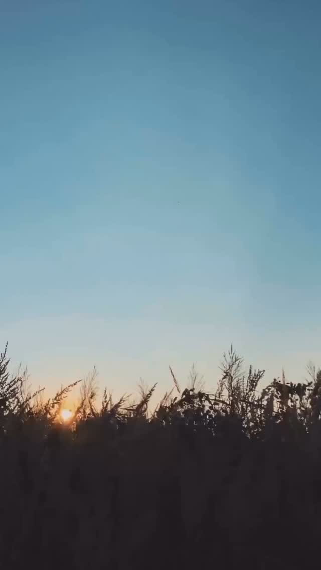 I let go of what I thought was security and instead found peace & abundance
I used to be depressed, overworked, and overstressed. I thought I had to keep pushing, striving, and forcing my way forward. But the more I tried to control everything, the more I ran into roadblocks.
Then I let go. I took the plunge into trust, releasing what I thought I wanted, and allowing space for what I truly needed.
What I put down on paper has since unfolded in ways I couldn’t have imagined. By surrendering, I aligned with myself. By releasing, I received.
Now I don’t worry, I live in flow, and I’m standing in position to welcome the best version of me.
🐚 Sometimes the leap isn’t about chasing more, it’s about letting go and falling back into yourself.
Journaling prompt: What version of you are you ready to step into now and what do you need to release today to receive it?
#healing #manifesting #getoutofyourownway #spinalflow #thriving