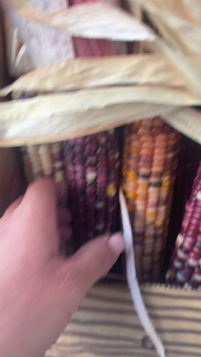 BIG arrival today of plants, pumpkins & more! #codywyoming #dosomethingyoulove #mylittleplantshop #zone4gardening #getdecorating #houseplants #fall #autumnvibes🍁