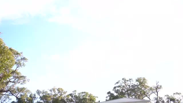 Years of working in the Macedon Ranges have taught us that no two sites are the same. From rocky bushland to sloping blocks, every build comes with its own set of challenges—and opportunities.
.
.
.
.
.
#buildtrend #buildtrendhomes #masterbuilder #sustainablebuilding #victorianbuilder #macedonranges #macedonrangesbuilder #interiordesignmelbourne #australianarchitecture #architecturevictoria #kyneton #woodend #macedon #mountmacedon #gisborne #riddellscreek #romsey