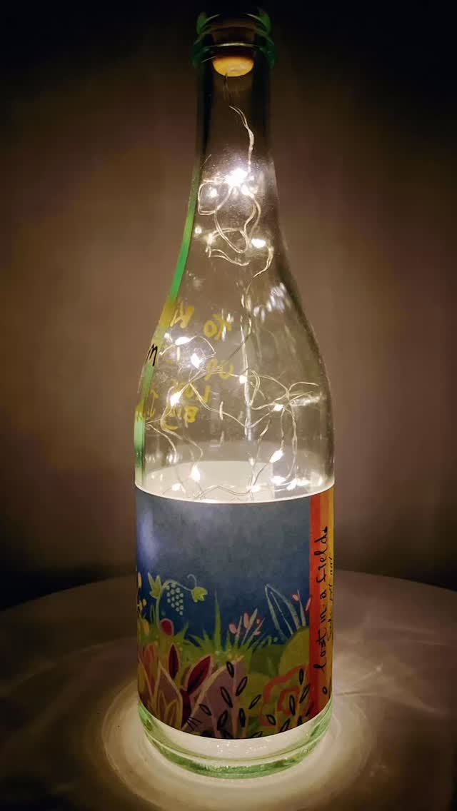 Hereâs a bright idea, get lit đ with @lost_in_a_field đĄ đ đ