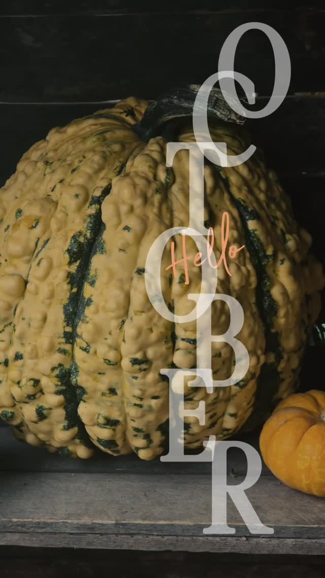 #october #fallvibes #fallfeels