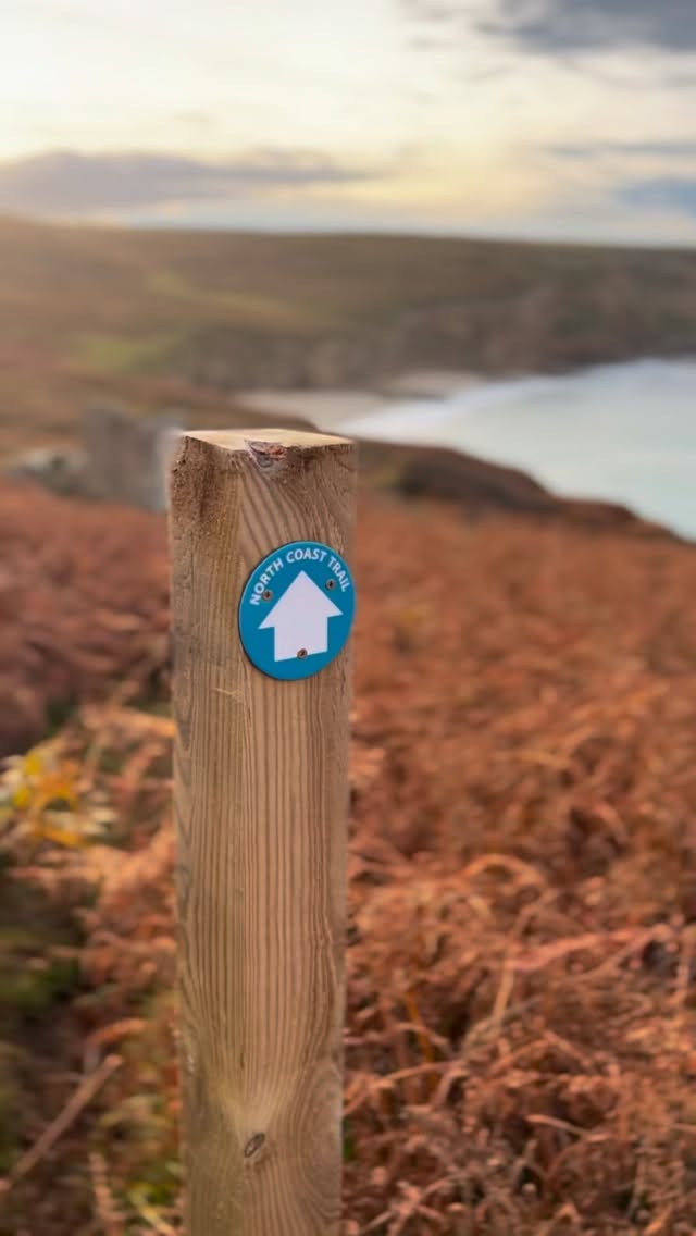 A beautiful, calm autumn morning today with a beautiful golden light and a still bay looking out to the Atlantic. There’s an air of anticipation with a storm forecast tomorrow - currently far over the horizon.
#HouseOfTheNorthernGate #ScottishHighlands #AutumnCoast #NorthernScotland #WildScotland #HighlandEscape #Caithness #NorthCoastScotland #ScottishSeaScapes #StormWatching