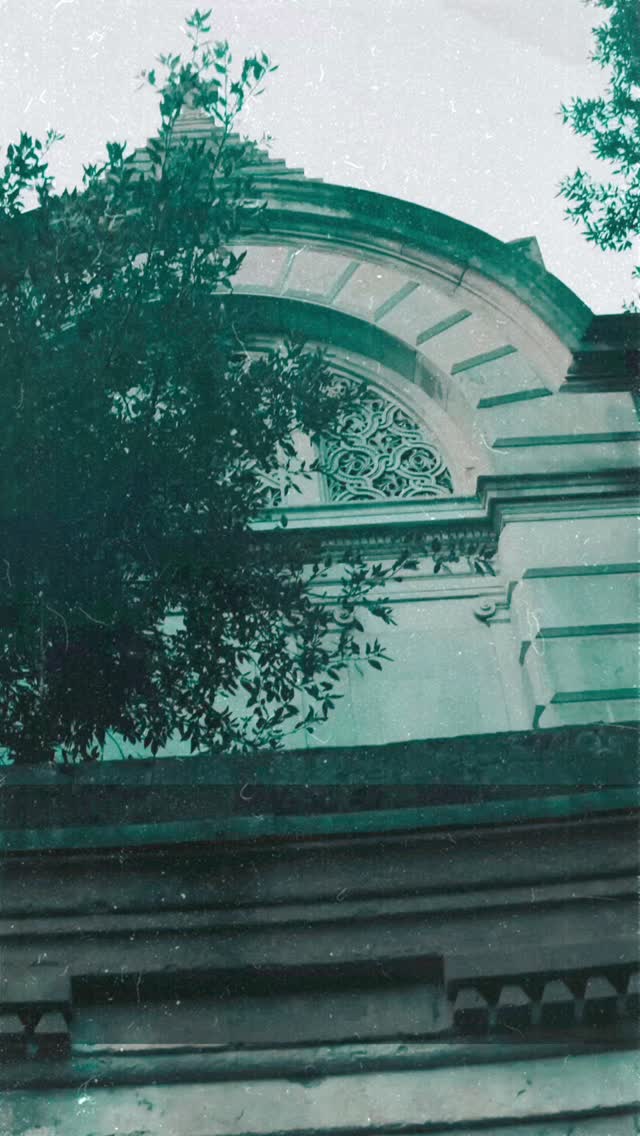 “Even in the shadows of doubt and loneliness, friendship and faith remind us we are never alone and God’s voice whispers courage into our very soul.”
#FaithAndFireSeries #CatholicFiction #ChristianYA #FaithJourney #SpiritualWarfare #CatholicWriters #ChristianFantasy #MarianVisions #YAReads #CatholicFaith #BookstagramChristian #FaithOverFear #Catholic #CatholicAuthor #ChristianAuthor #NewAuthor #YAFantasy #FictionFantasy #Inspire #Bookstagram #BeBold #UpcomingRelease