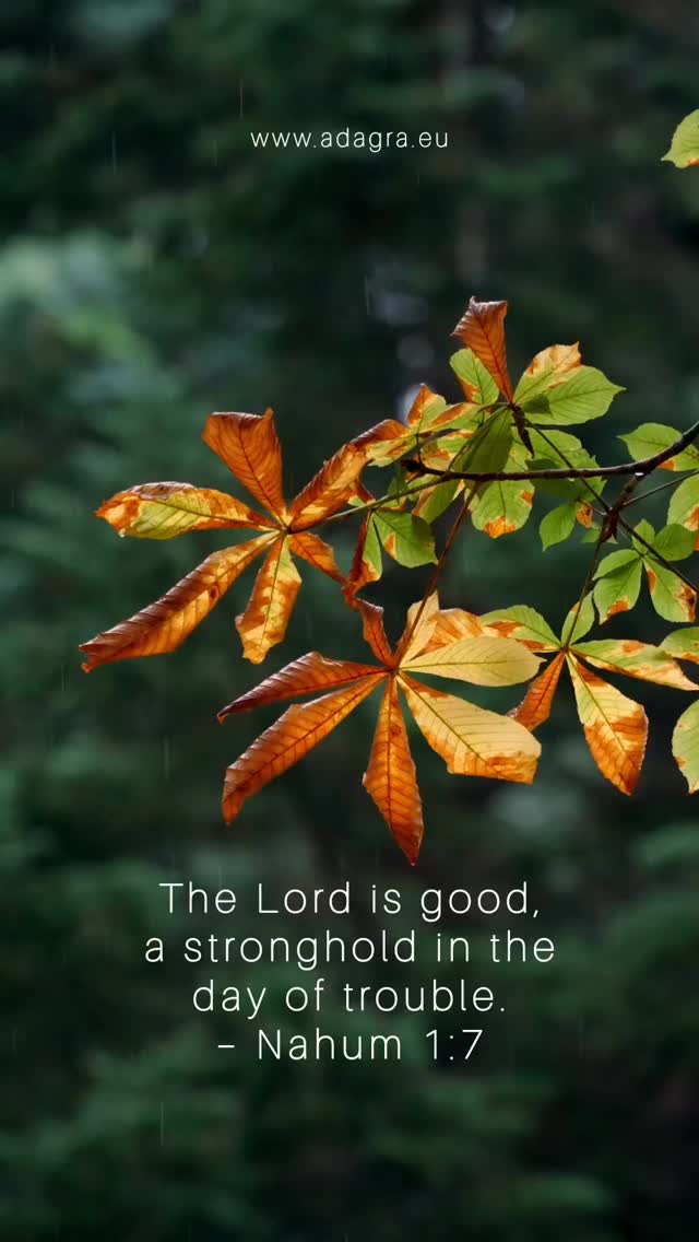 Happy Sabbath ❤️
God is the source of all wisdom. He is infinitely wise and just and good. ~ FLB 61.2
#adagraeurope #countryliving #bibleverse #bible #christian