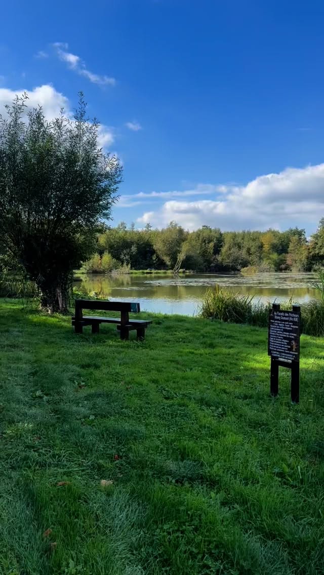 aBalade poétique au paradis des pêcheurs. Poetischer Streifzug im Anglerparadies. #picardie #somme #lasommeblog #lasommemonamour #long #paradisdespêcheurs #anglerparadies #naturpur