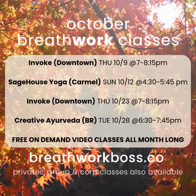 Hey October 👋
The air is crisp, the leaves are turning & everything smells faintly of pumpkin spice (yes, I see you, latte lovers).
As the leaves start to fall… it feels like nature’s permission to let our own sh*t drop too. (Thanks, trees 🌳, for the reminder.)
It almost seems like Autumn is nature’s giant exhale. 💨 Can you hear the season whispering? Slow down... let go... cozy up... breathe deeper. Ahhhhhhhhhhhhhh...
This month, I’m asking myself (1) what am I ready to harvest? (2) what am I ready to release? (3) what am I ready to dig into?
What questions are you ready to ask yourself this month? Comment below or DM me. Let’s be accountability friends this month! 🙌
If breathing is on your list, consider trying:
🧘 Group Sessions (IRL) → Gathered energy = amplified release.
✨ 1:1 Private Journeys → Tailored breathing rituals for whatever vibe you’re craving.
🎧 FREE On-Demand Classes → For when you need to pause & reset right.f*cking.now.
#breathwork #breathe #justbreathe #healing #lifeisajourney #fallyall #letitgo #october #vibes #accountability