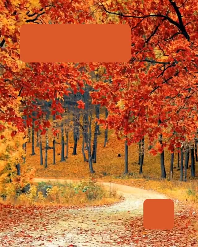 If your teen’s first quarter grades weren’t what you expected, don’t panic. It doesn’t mean failure.
This is a chance to pause, reassess, and support your teen in finding what works. Progress matters more than perfection.
💬 Save this reminder for when the stress starts to creep in