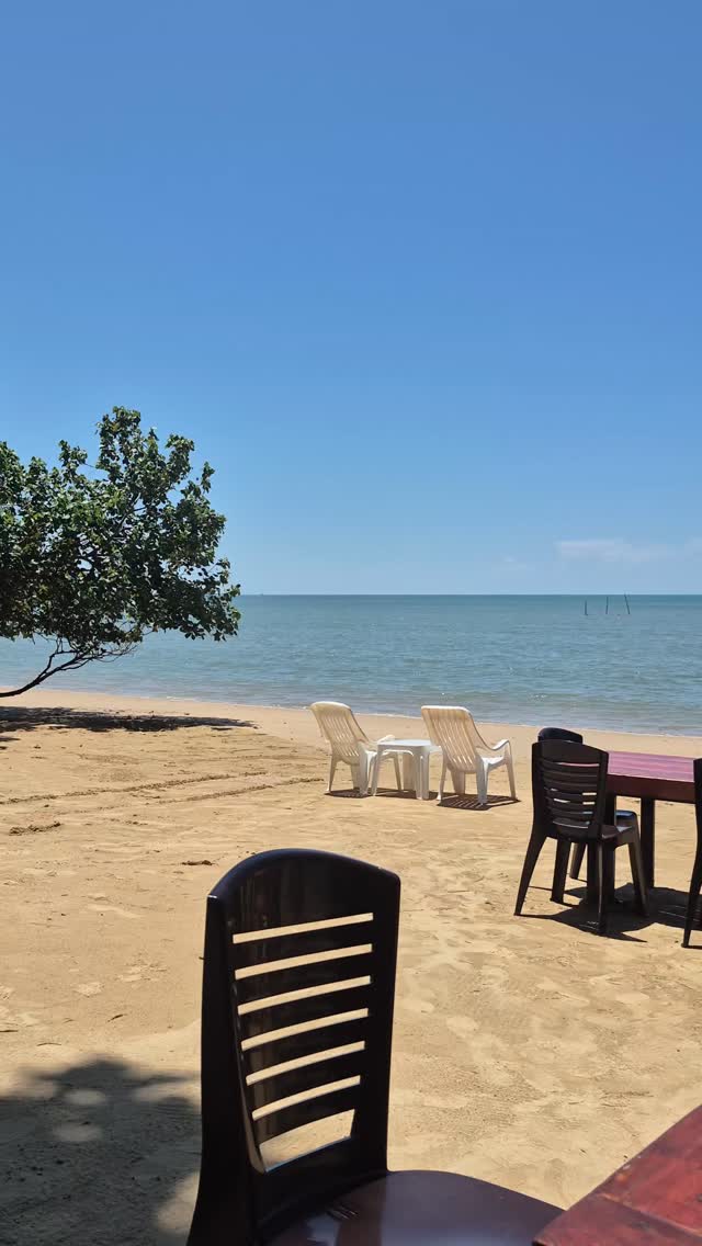 @greenguardians.asso Dugong Monitoring in Ao Namao. Loving and taking care of nature is a very nice vocation 🥰🥰🥰 #greenguardians #krabi #dugong #thelastdugongofthailand
