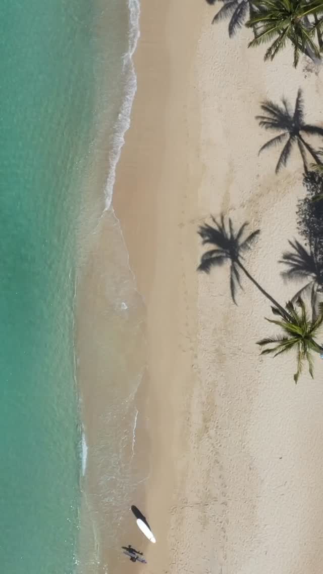 Luxury travel isn’t one-size-fits-all. That’s why we’re proud to offer Live365, a bespoke, end-to-end lifestyle and travel service designed to not only remove the hassle of planning, but curate truly unforgettable, once-in-a-lifetime experiences.
Whether it’s a private island escape or exclusive access to VIP events, we use our trusted contacts to connect clients effortlessly with some of the world’s most coveted destinations and experiences.
Interested in learning more? Visit the link in bio to explore our Live365 programme.
#365Aviation #PrivateJetCharter #Live365 #Luxury #Travel2025