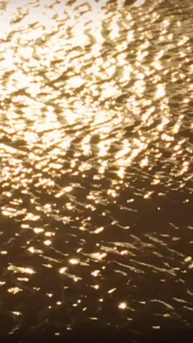 Golden Waves #wonderfulplaces#explore#photography#travel#adventure#travel#waves#beauty#beautiful#lifestyle#relax#luxurylifestyle#nature#water#goldenocean#vacation#photo#photographer#goldwaves#ocean#beach#nature#island#sunny#sandbar#hawaii#mountains#wild#tropical#paradise#blue#islands