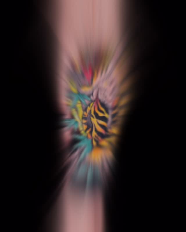 @dave_lopez_tattoo with the fierce tiger and the legendary karajishi (lion dog)✨
#JapaneseTattoo #Irezumi #Wabori #TraditionalJapaneseTattoo #JapaneseStyleTattoo #TigerTattoo #KarajishiTattoo #LionDogTattoo #JapaneseTiger #GuardianLionTattoo #MythicalTattoo #JapaneseMythology #MythicalBeastTattoo #TattooArt #TattooDesign #ShisaTattoo #ShisaTattooStudio #MaplewoodTattoo #MaplewoodNJ #NJtattoo #TriStateTattoo #EastCoastTattoo #NYCTattoo #TattooCulture #TattooLife #TattooCollector #BodyArt #InkLife #TattooWork #TattooInspiration