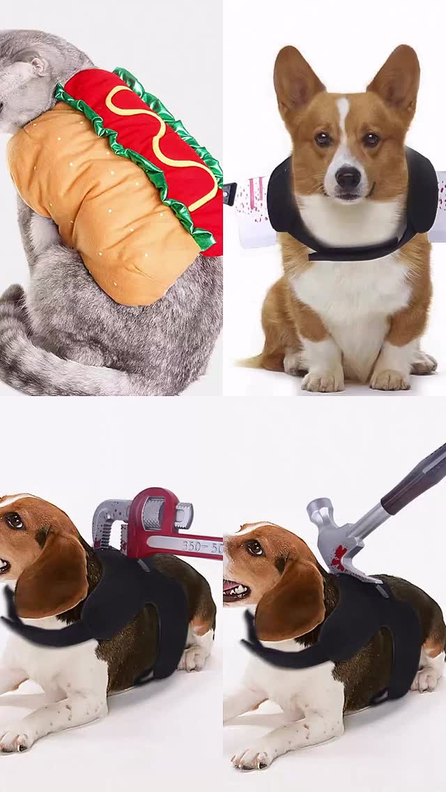 🎄🐾 Festive surprises for your fur babies are here!
From cozy outfits to fun toys and tasty treats, let your fur kids celebrate in style this season. 🐶🐱✨
Bring them along to our outlet and let them sniff, play, and try out all the new arrivals! 💕
#FurBabyFashion #PetLovers #FestivePets #NewArrivals #PawfectGifts