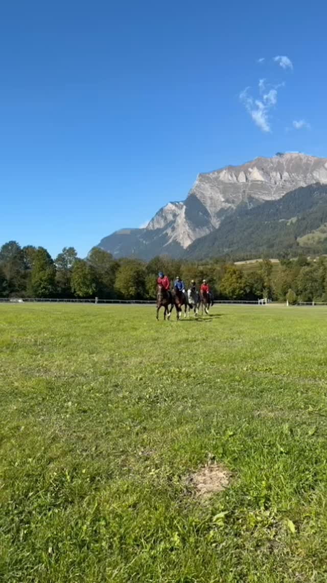 On Your Mark (Jürg Langmeier), Authentique Cotte (Silvan Krüsi), Pridemann (Carina Schneider) und Krakan (Helen Langmeier) beim Aufwärmen #pferderennenmaienfeld #warmup