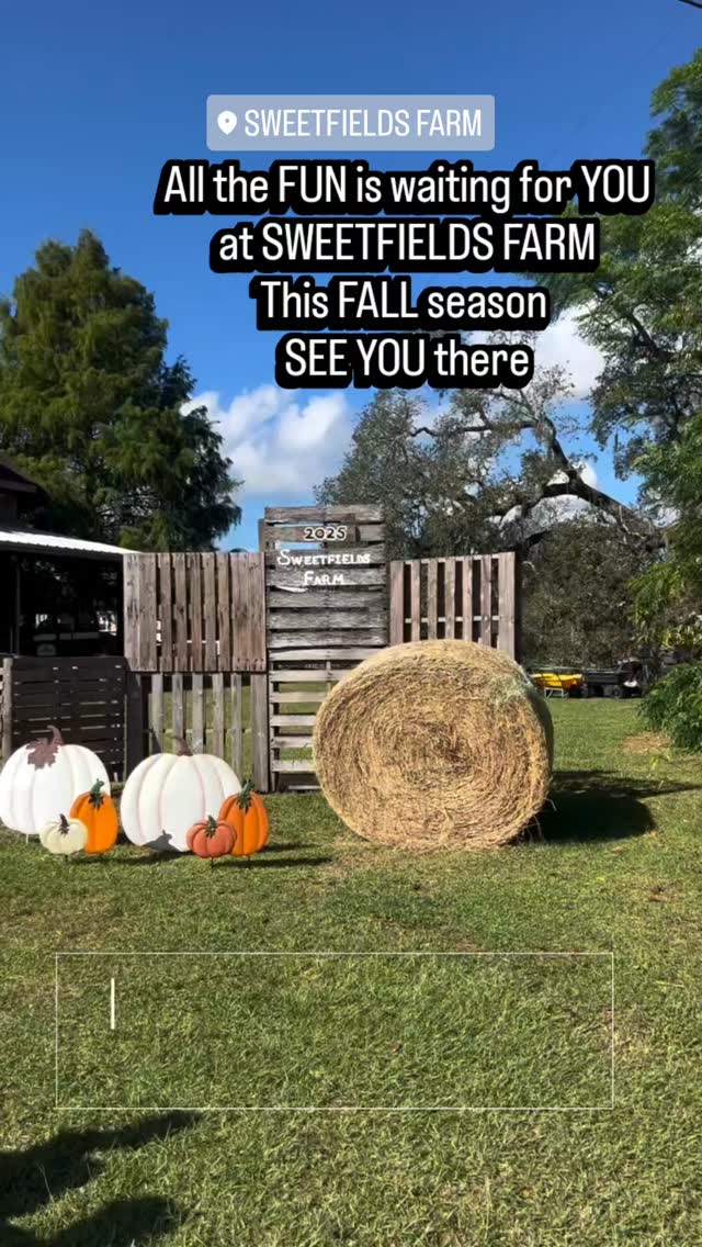 It's time to start getting everyone together for an AWESOME FALL SEASON OUTING ๐๐๐ฝ๐คธ๐ผ
Sweetfields Farmโs 18th Annual Fall Festival runs through November 9th! โจ
Bring the whole family and make unforgettable memories with:
๐ฝ Two Corn Mazes
๐ Pumpkin Patch
๐ Farm Animals
๐ Hayrides & Pedal Tractor Races
๐ฏ Pumpkin Launcher, Pumpkin Bowling & Cornhole
๐ Fresh Pressed Apple Cider
๐ Harvest Barn Market + Food Vendors
โฆand so much more!
โจ Tickets sell out fast โ donโt wait! โจ
๐ Get yours now:
https://www.simpletix.com/e/fall-season-fun-at-sweetfields-farm-2025-tickets-234828?fbclid=IwY2xjawM_51tleHRuA2FlbQIxMABicmlkETE5Qm5nMTM2aDhKWlUzRG90AR6QPm18vaKTR1vSBAdBsDnKemFxckmZFDfLQpJj7gBnITeSYMoROhp4gYm_UA_aem_tzAmxxSNMBjubC3pCNP40Q
๐ Learn more: SweetfieldsFarm.com
Link in bio on Instagram
๐
Mark your calendars, tag your fall crew, and letโs make this season the best one yet! ๐โจ