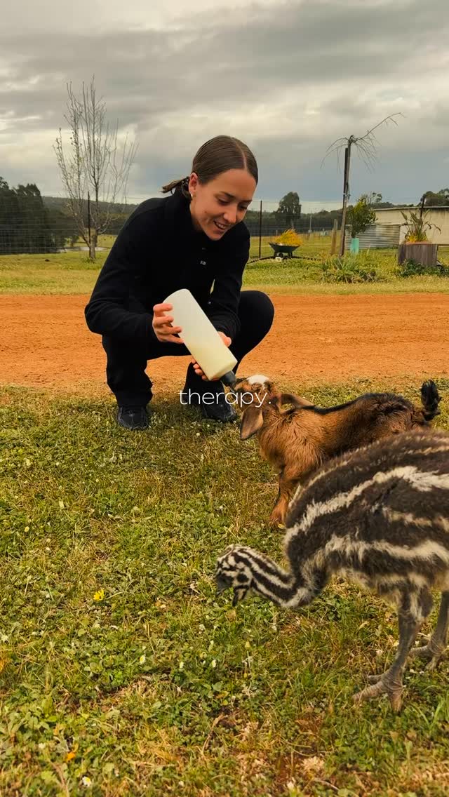 This is the sign you need for a country break! This is the BEST stress relief 😀🐮🐮🐮❤️
#wildinourheart #farmstay #southwestwa #perthisok #westernaustralia #highlandcow #fyp