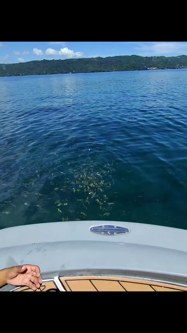 Waiting for the humpback whale season we watch the fish jumps 😍🇩🇴
#whales #fush #samana #bay #LasTerrenas #dominicanrepublic #luxurylifestyle #raybanmeta #rayban