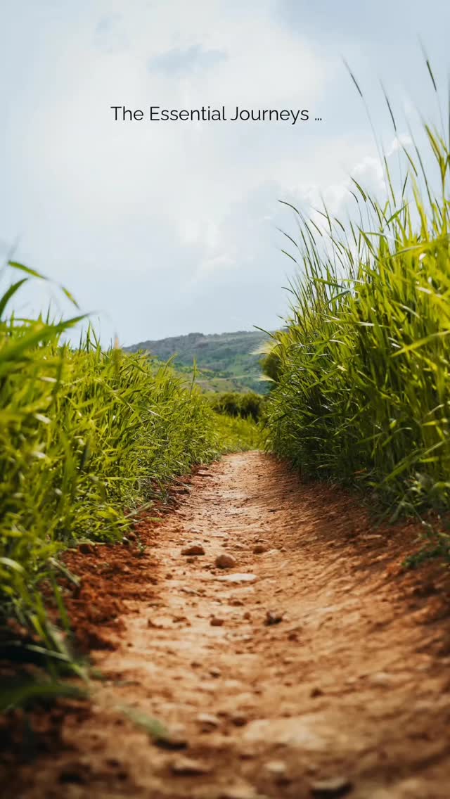 Lyratika invites you to discover destinations at a different rhythm.
Whether it's sharing a simple meal in a village, walking slowly through ancient markets, or listening to the stories of artisans. Every moment becomes extraordinary when lived with presence.
https://www.lyratika.com/lyratika-essentiel
#lyratikaessential#authentictravel
#traveldifferently#slowtravel
#emotionaljourneys