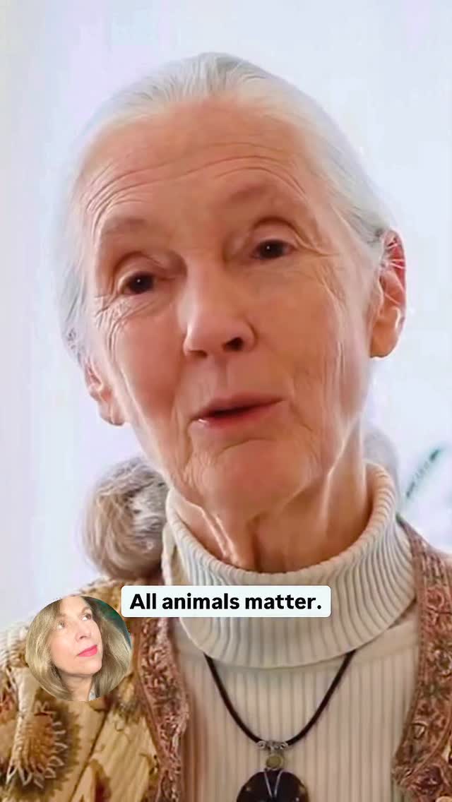 Dear Jane Goodall, you brought so much love, hope and light into the world. You will greatly be missed as an important and loud voice for animals and all creatures that are exploited and tortured and denied respect and love. Enjoy your new adventure. 🩷🧡🩷🧡❤️♥️🙏