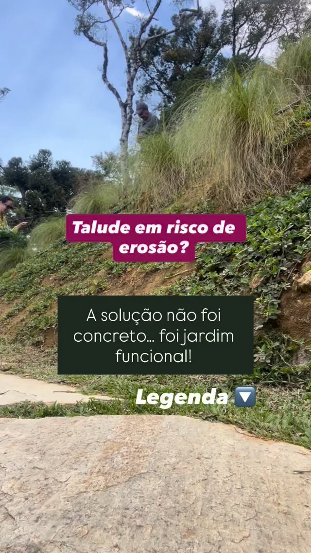 🇧🇷Você já imaginou segurar a força da erosão… com um jardim? 🌱✨
.
Neste projeto, transformamos um talude frágil em um espaço seguro e cheio de vida usando plantas funcionais: capim-cidreira brasileiro (uma planta medicinal!), bromélias, plantas rupestres, orquídea-sumaré e até a Euphorbia “Hip Hop”, que floresce o ano todo. 🌸🌾
O resultado? Contenção natural, resistência ecológica e ainda um charme rústico de campo elegante.
.
Você também acredita que soluções sustentáveis podem ser belas? Deixe seu 🌱 nos comentários!
.
🇬🇧Have you ever imagined holding back the force of erosion… with a garden? 🌱✨
.
In this project, we transformed a fragile slope into a safe, vibrant space using functional plants: Brazilian lemongrass (a medicinal plant!), bromeliads, rock plants, sumaré orchids, and even the “Hip Hop” Euphorbia, which blooms year-round. 🌸🌾
The result? Natural containment, ecological resilience, and a rustic, elegant country charm.
.
Do you also believe that sustainable solutions can be beautiful? Leave your 🌱 in the comments!
.
#paisagismoecológico
#Biofilia
#ArquiteturaPaisagística
#JardinsFuncionais
#SoluçõesBaseadasNaNatureza
#InfraestruturaVerde
#SustentabilidadeNaPrática