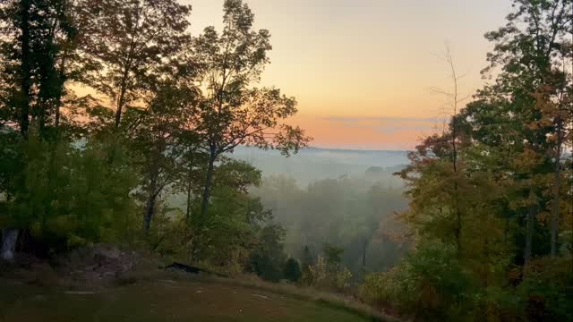 One week until our renovated farmhouse ribbon-cutting and fall event! We still need a few volunteers to help check in, give directions, etc. A huge help if you have a golf cart to donate for the day. We are looking for 4 golf carts to allow veterans with limited mobility independence during the day. Golf carts remain parked unless there’s a veteran or family member in need. Veterans, family members, friends and supporters are welcome to join us. Please RSVP on our website, patriot-farm4vets.com, we hope to see you soon!#navy #armylife #coastguard #veterans #marinecorps #airforce #gvsualumni #veteranowned #michiganveterans