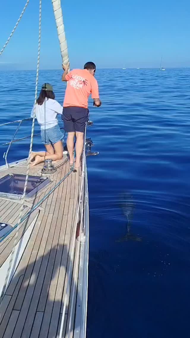 Pilot whales are highly social and curious creatures. 🌊🐋
They often approach boats in groups, observing us with the same interest we feel for them. Their behavior reflects their strong bonds and intelligence. 💙 #RespectNature #WildAndFree #ProtectOurOceans #OceanConservation #NatureInspiration