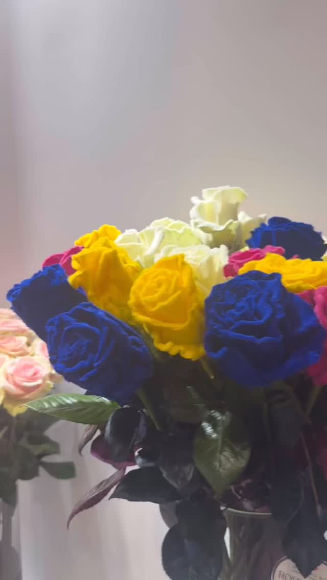 Discover the Heart Behind the Roses
At Nevado Roses, sustainability isn’t just a practice — it’s a promise. From empowering local communities to protecting our natural resources, this remarkable farm is redefining what it means to grow with purpose. 🌱💚
🌹 Want to know what makes their roses truly special?
Read the inspiring stories behind the blooms at theflowersofecuador.com #thebestroses #bestrosesever #proflora #ecuadorysusflores #theflowersofecuador