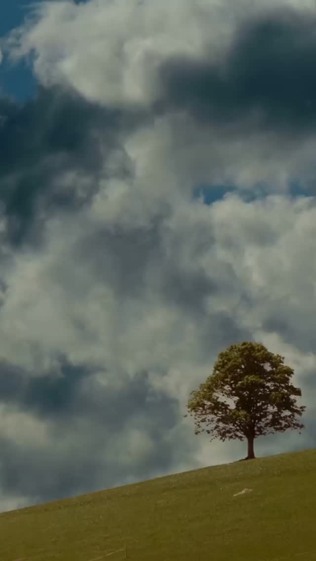 Your faith isn’t seasonal. Neither is His love. 💜
.
.
.
.
InspirationDaily #MotivationForToday #SpiritualGrowth #HopeInEverySeason #DivineTiming #WalkByFaithNotBySight #GodsPlan