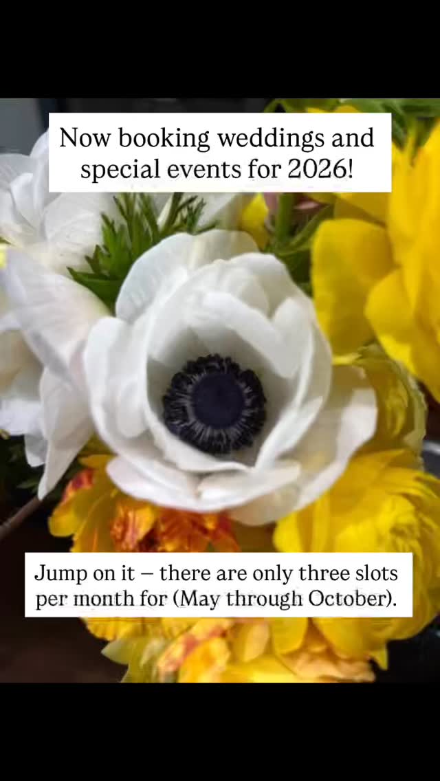 We only took bookings this season for special events between June and October 1st. But because it looks like we won’t have a frost at least through next weekend, we just squeezed in one last minute event for the year — simple florals for a wedding welcome party.
Want us to handle the floral design for your special event? We encourage you to reach out as early as possible, as we only take three bookings a month (although this year, we took a few ad hoc as we were able).
Our floral design incorporates the freshest flowers in our field, and our aesthetic is a little carefree and wild (matching the spirits we love best on this planet).
We do entire weddings, pre or post events, showers, and engagements. We also do birthdays, bereavements, and celebrations of ALL our big moments.
We wait to work with you on your special event!
Oh, and why do we only book three events per month? Here are three good reasons: 1)We’re busy growing flowers and raising our baby; 2) We treat every special event as if it were our own, putting our all into them; 3) We also host our own events, and we want to make sure we give every special moment the energy people deserve.
#weddingdesign
#flowerfarm
#weddingflowers
#weddingfloral
#eventflowers
#upstateny
#hudsonvalleyweddings