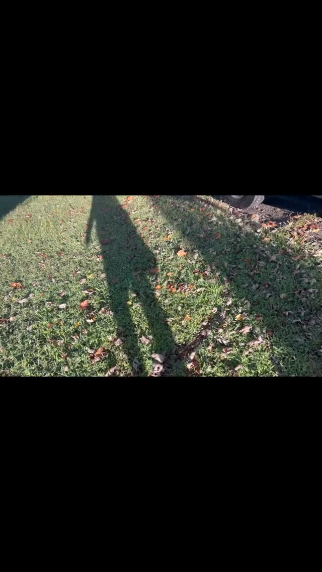 Trust The Process 🏁💫#TenToesDown #kimpariseandco #moretocome #breakinggenerationalcurses #nipseyhussle #LLM 🫡