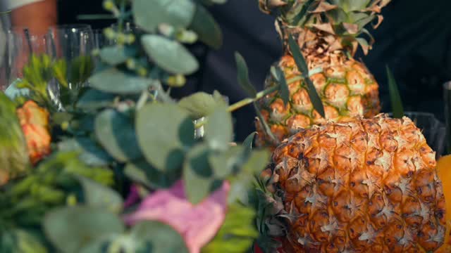 Jalisco pride, ready to be discovered in California. 🇺🇸🌵✨
Orgullo jalisciense, listo para ser descubierto en
California