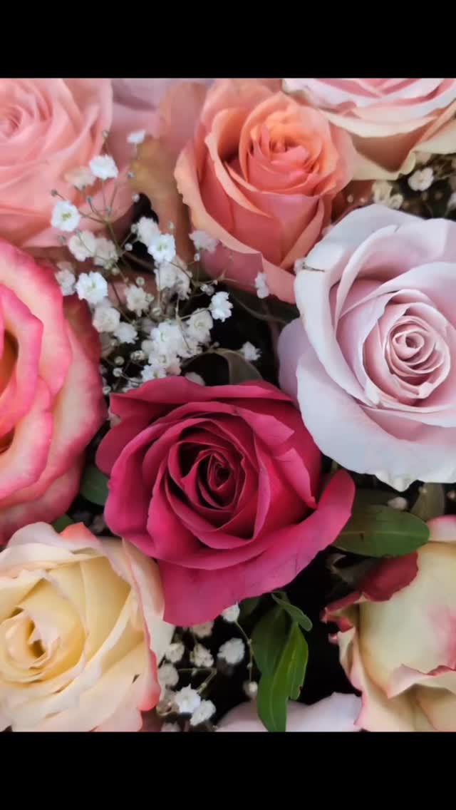 Un cœur en rose panaché, symbole d’amour, de tendresse et de souvenir 🌸💗
Une création tout en délicatesse pour honorer la mémoire d’une personne chère, avec douceur et respect.
Parce que chaque fleur parle quand les mots manquent 🌷✨
#fleuriste #fleur #floriste #flower #nice #amour #souvenir #hommage #fleursdeuil #coeurfleur #creationflorale #rose #artisanfleuriste #emotionenfleurs