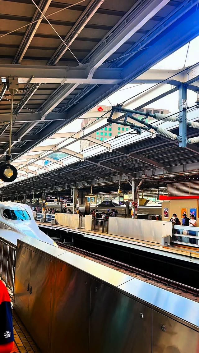 Wonderful trip to Japan
#japan #classicalmusic #artist #tokyo #osaka #kawasaki #hamamatsu #japanartist #filmportrait