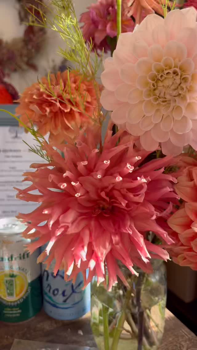 I love every dahlia, in all colors… but today I’m particularly diggin’ the ones with a terra cotta glow, a soft, antique mauve, with a soft peach pop and a few mauve cosmos thrown into the mix. 🍑🍑🍑
Come and get ‘em. We’ll sell them until first frost in our shop. Open weekends (11:30-5:00) and by appointment on weekdays.
#dahlia
#flowerfarm
#flowerfarmer
#dahliaseason
#dahlialove
#flowersandbooks
#treehornfarm
#upstateny
#upstateliving
#weddingflowers
#weddinginspiration
#eventflowers
#hudsonvalleyweddings