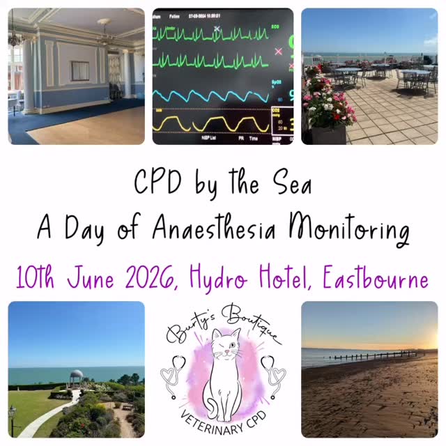 Welcome to the launch of our first CPD event for 2026~ early bird tickets are now available on our website, or email to book via invoice ☺️
Together we will spend the day at a beautiful seafront hotel, and cover:
Pulse Oximetry
Blood Pressure
Temperature
ECG’s
Capnography
Low flow anaesthesia
Recovery
The day will also include an extended lunch break to have time on the beach and relax, you may even get a chance to glimpse ‘Sammy the Seal’ a gorgeous seal who likes to hang out on the beach regularly in the area.
This day is suitable for both Veterinary Nurses and Vets.
We will be offering all our usual fun of a Burty’s Boutique CPD Day including: Welcome goody bags, printed notes, CPD certificate, amazing sponsors, free and easy parking, plus access to our Burty’s Boutique shop which will be on site.
Will we see you there 🥰🥰🥰