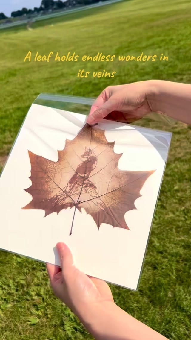 A single leaf holds a universe, revealing magic in the smallest detail. 🦊✨🍁🌳🌳🌳🌳❤️#leafart #handmadegift #christmasgiftideas #fox #wildlifephoto