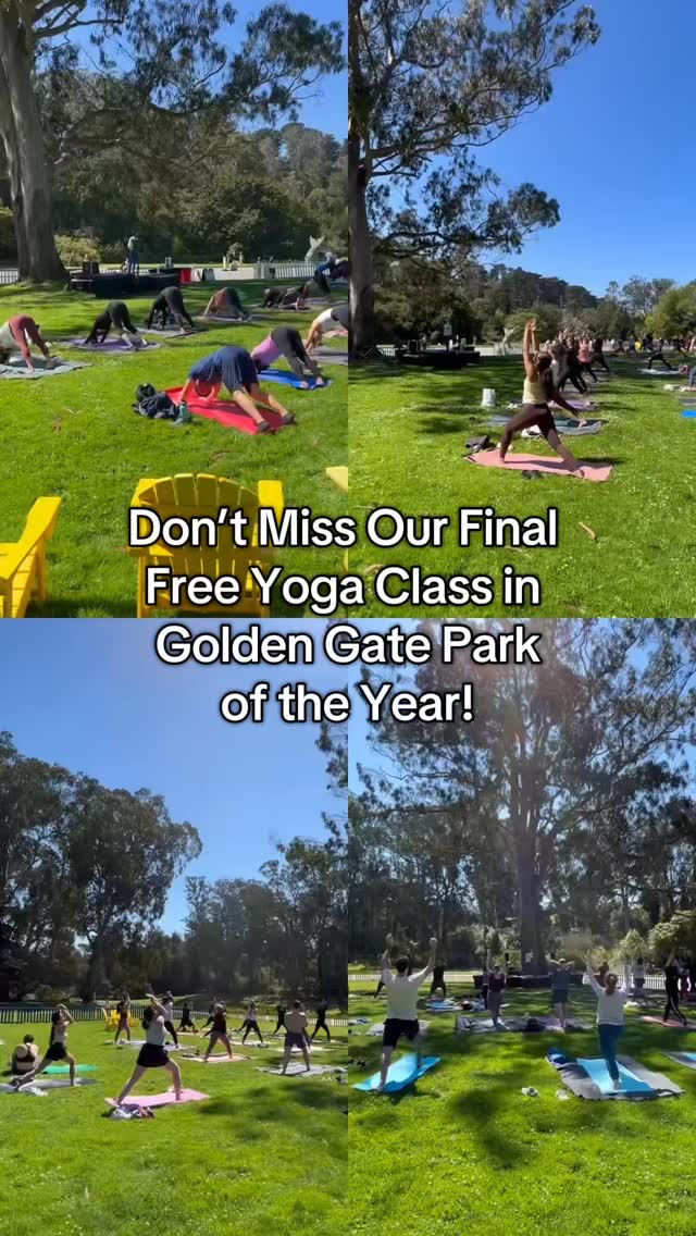 join us for our LAST free yoga class Oct 4 in Golden Gate Park
don’t worry, we’ll be back next year 😉
📍The Whale’s Tail, 14th Ave East meadow, (near the rose garden)
⏰ 11AM-12PM
🗓️ Last Class, Oct 4
🔗 link in bio to sign up for class (https://www.yogawithelisha.com/yoga-in-the-park)
#yoga #sf #sanfrancisco #goldengatepark #bayarea