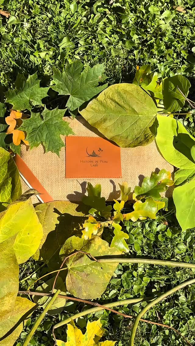 Un secret bien gardé… 🤍
La gamme Caviar de Perles se dévoile dans une pochette découverte.
Un écrin éphémère pour profiter de ce rituel d’exception.
Disponible en édition limitée et uniquement sur commande.
📩 Pour la recevoir → contactez-nous directement par mail ou SMS (informations en bio)
By @mathildemay_com