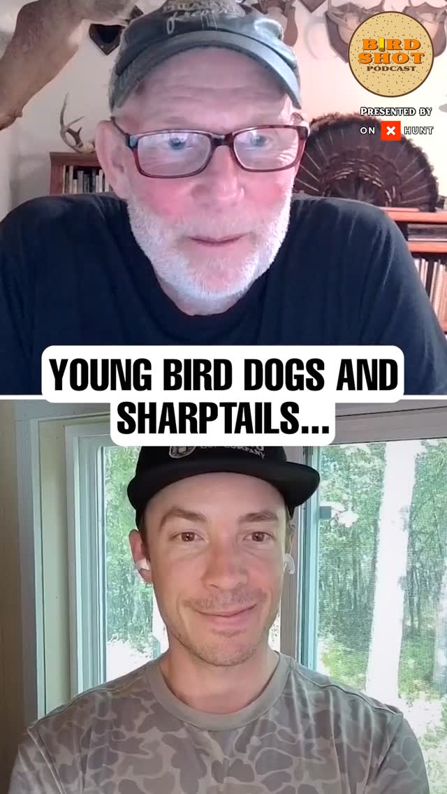 The prairie trains your bird dog.
In this episode of the Birdshot Podcast, host @nilarson13 sits down with guest Tom Carpenter to unpack the realities of bird dog training in sharptail country.
🎧 Listen to the full episode, link in bio
#birddogs #sharptails #uplandhunting #dogtraining #prairiebirds #fieldcraft #birdshotpodcast