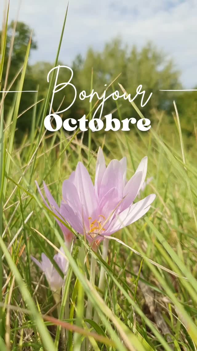 🍂 Octobre est là, et avec lui une nouvelle page à écrire.
Chaque mois, j’ai l’impression d’ouvrir une petite parenthèse créative, une bulle où je peux imaginer de nouvelles pièces pour accompagner les femmes dans leur quotidien.
✨ Octobre, c’est ce mélange de douceur et d’énergie, entre cocooning et nouveaux projets. C’est aussi ce moment où l’on se recentre, où l’on prépare doucement la fin de l’année
Alors bienvenue octobre 🌟
J’ai hâte de partager avec vous mes inspirations, mes créations et, surtout, de continuer à vous accompagner, vous, femmes inspirantes, dans vos vies pleines de couleurs. 💕