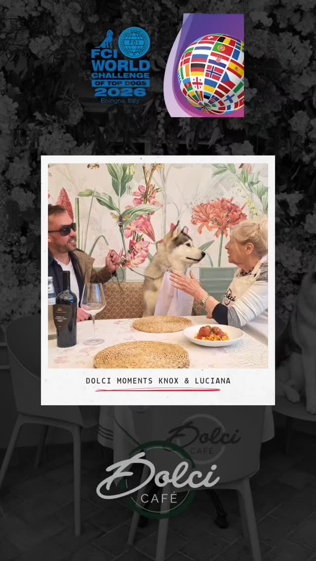 Our @dolci_sa moments
#Knox #italianrestaurant🇮🇹 #italy #worldchallengeoftopdogs2026 #wds2026🇮🇹 #southafrica #southafricarepresentative #kusaregistered #siberianhuskiesofinstagram #southafricatopdog #italiannonna