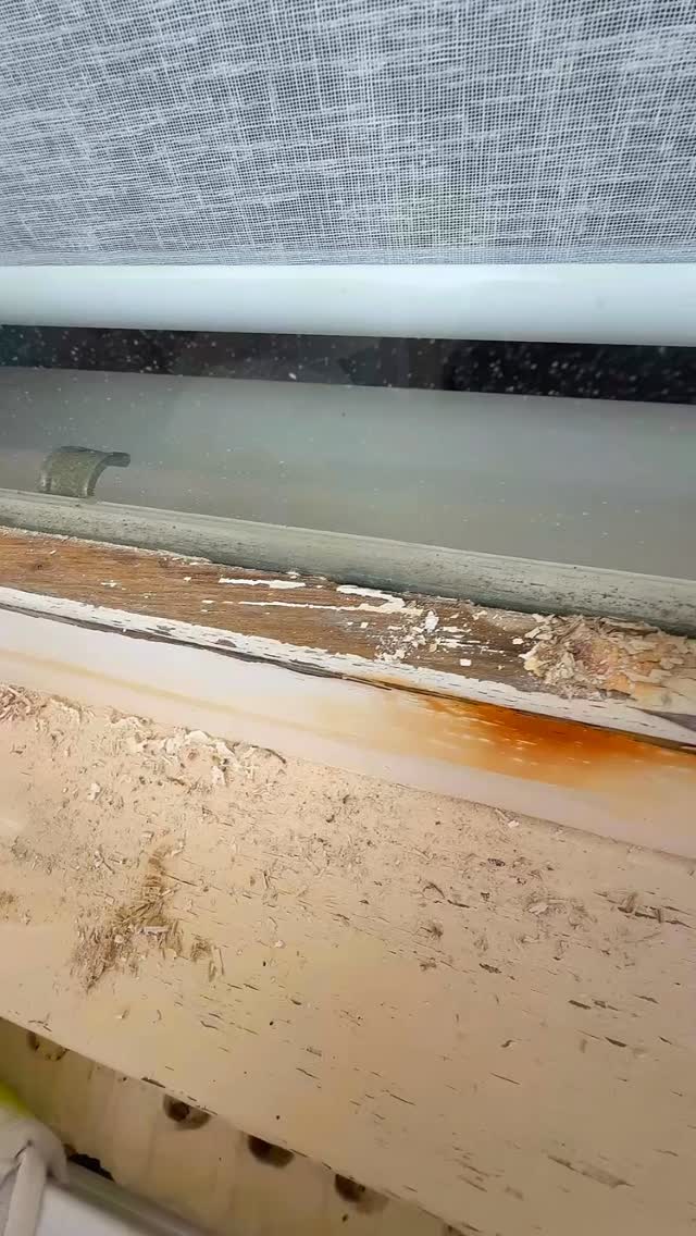 💫 Bringing life back to tired timber
This old window was faded, weathered and forgotten, now it looks brand new again!
If your timber frames are looking worse for wear, it might be time to give them the Sleek Coatings treatment.
📲 Send us a message today for a free quote!
#PerthPainters #TimberRestoration #SleekCoatings #ExteriorPainting #HomeRefresh #BeforeAndAfter #PaintingPerth #professionalpainters #fyp #paintinghacks