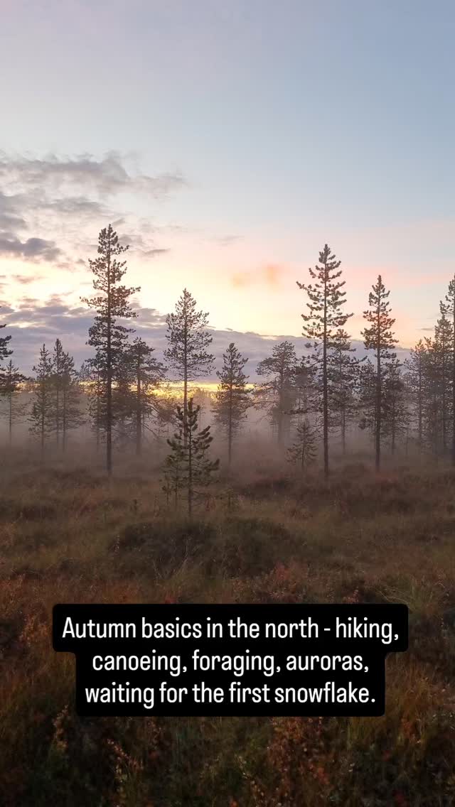 The nature wears gold and red, the air smells of autumn and every moment is full of forest therapy. Now everyone is waiting for that magical first snowflake to fall...
#kuusamo #lapland #oulankanationalpark #riisitunturinationalpark #SallaNationalPark #forestfood #visitlapland #mytrailfinland #autumnvibes